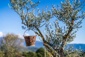 Maisons de vacances Mas Provencal climatise avec vue sur le Mont Ventoux : photos des chambres