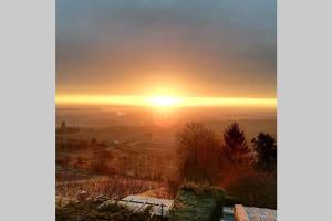 Vue panoramique sur le vignoble