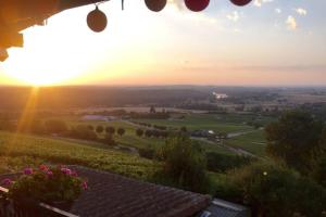 Vue panoramique sur le vignoble - 1D Rue Porte Oison, 18300 Sancerre