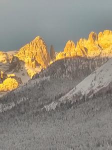 Appartamenti Bazzanella