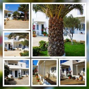 George's Place Sifnos - apartments Sifnos Greece