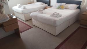 Family Room room in Croxdale Inn