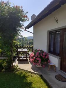 Apartment Petra i Nikola