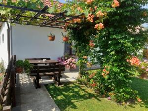 Apartment Petra i Nikola