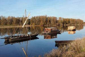 Maisons de vacances Gite La Gabare entre Loire et Chambord : photos des chambres