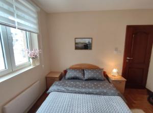 Apartman Paja
