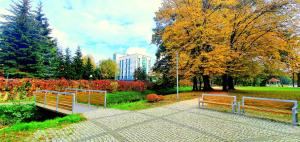 SPA Barlinek Hotel Alma SPA