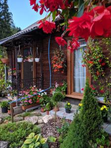 Сімейна хатинка