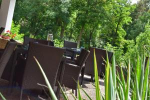 Double Room room in Reichels Parkhotel