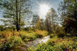 Bohaterski Wypoczynek