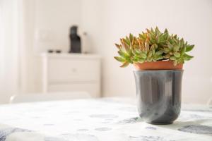 Cuore di Sanremo apartment and free parking