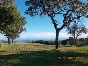 Apartment Sternentor