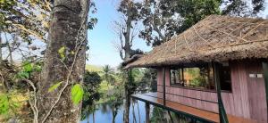 Noahs Nest Tree House