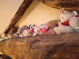 Maisons de vacances Gite du Hameau D'Amignie : photos des chambres