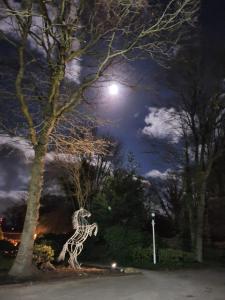 Huck’s Ferienhäuser