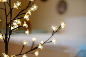 Apartmán Dobré ráno