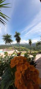 Sítio Santa Terezinha Canastra