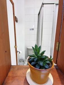 Habitación Doble con baño - 2 camas