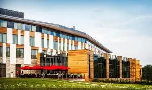 迪菲格兰酒店 - 伊拉华