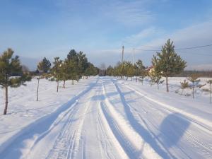 Apartament U Kucharzy Łysica