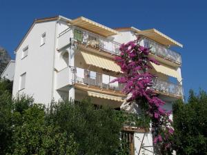 Apartments Kate - 20m from the beach