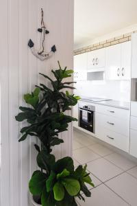 Peninsula Court 5 - LJHooker Yamba