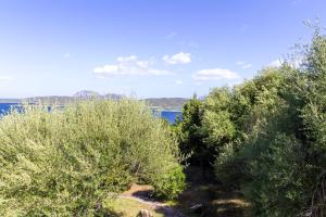 Porto Rotondo sul Mare img23
