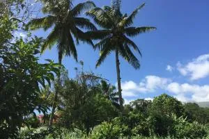 Logement en pleine verdure tropicale -10 min plage - Basse-Pointe