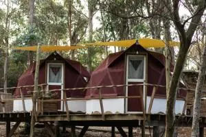 Flor de Vida Geocabañas - Domos Geodésicos - Vuelta del Palmar