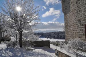 B&B / Chambres d'hotes Manoir du Grail : photos des chambres