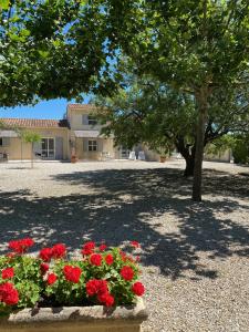 Maisons de vacances Le Domaine de Laforest : photos des chambres