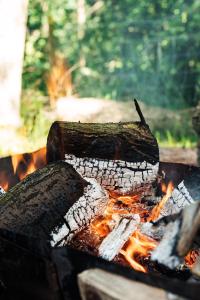 Penbedw Uchaf Estate - Rural retreats, tennis