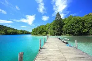 VIP Apartments & Room - Selište