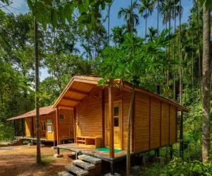 Chalets in Agumbe RainForest - Someshwar