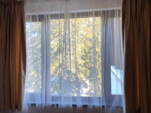 Borovets Gardens Studio