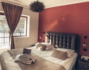 Transylvania Mountain View CDI