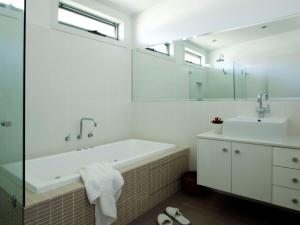 Grey Gums on Jervis Vincentia