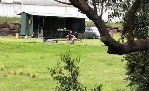 Walsh Farm Shepherd’s Rest