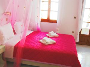 Elena Studios & Apartments Paros Greece