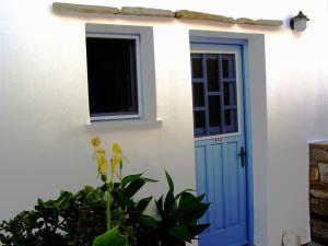 Studio with Garden View
