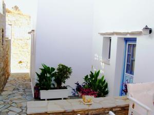 Studio with Garden View