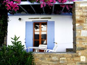 Studio with Garden View