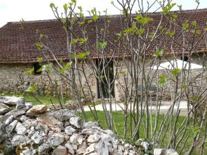 Maisons de vacances La Gariotte : photos des chambres