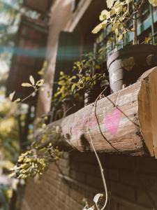 Camping Trópico de Capricórnio - Ilhabela