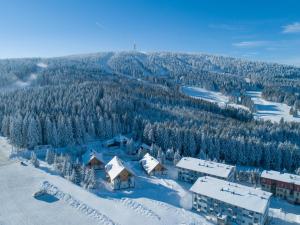 Ski Chalet Klínovec