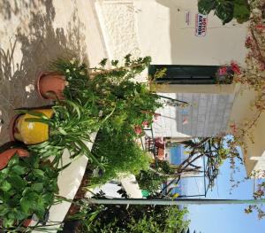 Akteon Rooms Rethymno Greece