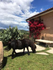 Hotel & Glamping Borgo di Campagna img31