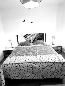 Appartements Bed and Break Annecy, appartement 90m2 avec parking, balcons : photos des chambres