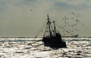 Appartementen Bredene