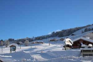 Hotels Chalet Hotel Le Mont Bisanne : photos des chambres